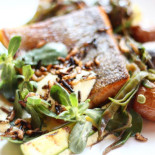 Mockingbird Cibo