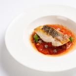 Aqua Cibo
