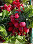 Le Potager Du Nebbio food