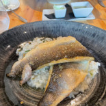 Tabik Cibo