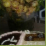 Walima Bakery Esterno