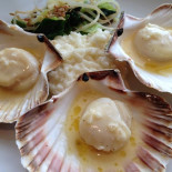 L'Ormeau Cibo