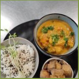 Moringa Cibo