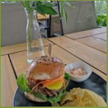Moringa Cibo