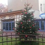 Mavera Cibo