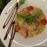 Monarch Cibo