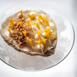 Codium Cibo