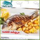 طيبات البحار Cibo