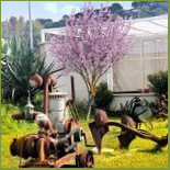 Tenuta Bellaprima Nourriture