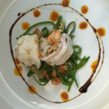 Schrödl's Cibo