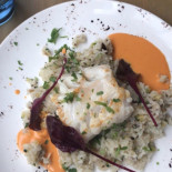 Trader's Cibo