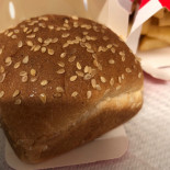 KFC Cibo