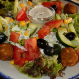Iguana Cibo