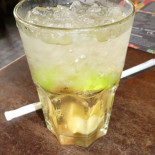 Iguana Dentro