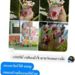 สตรอเบอรี่โยเกิร์ต แฟรนไชส์ทำเงิน By Ammy Cibo