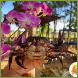 ปูนาอาเธอร์ปาร์ค ขอนแก่น Esterno