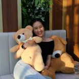 โรตีแบร์ Rotibear Dentro