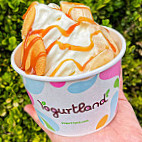 Yogurtland Garland outside