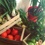 Diffa Cibo