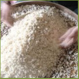 Xiǎo Chuān Guō Wù． Guāng Yuàn Cibo