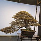 § Bǎo Dé Wàng Fǎ Guó Chá Fāng § Esterno