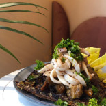 Poly Cibo