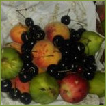Traiteur Draria Cibo