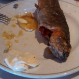 Antolin Cibo