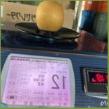 Xīn Shè Shān Yuè Xiū Xián Tíng Yuán Lù Yíng Měi Shí Cibo