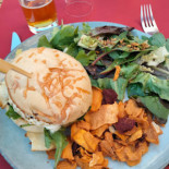 Caseus Cibo