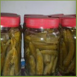 المطبخ الاردني Cibo
