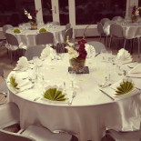 Les Grepins Cibo