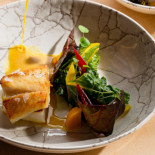Arakel Cibo