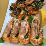 Fish Lab Cibo