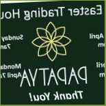 Papatya Cibo