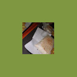 Le Corail 2 Dentro