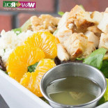 Wrap Roll Cibo