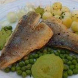 Windrose Cibo