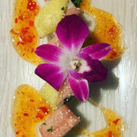 Bloom Cibo