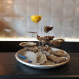 Saison Cibo