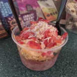 The Java Shack Cibo