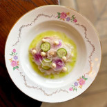 Sinck Cibo