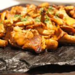 Cal Cofa Cibo