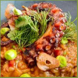 Hibrido Cibo