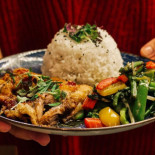 Bento Box Cibo