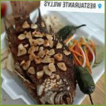 Willys Cibo
