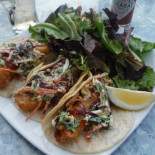 Dolphin Restaurant, Bar, And Lounge Cibo