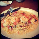 Rotelli Pizza Pasta Cibo