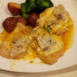 Magna Cibo