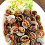 ตาหนวดซีฟู้ด Cibo